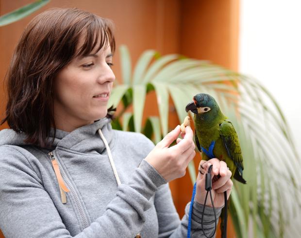 Milena Potůčková a Ara maracana