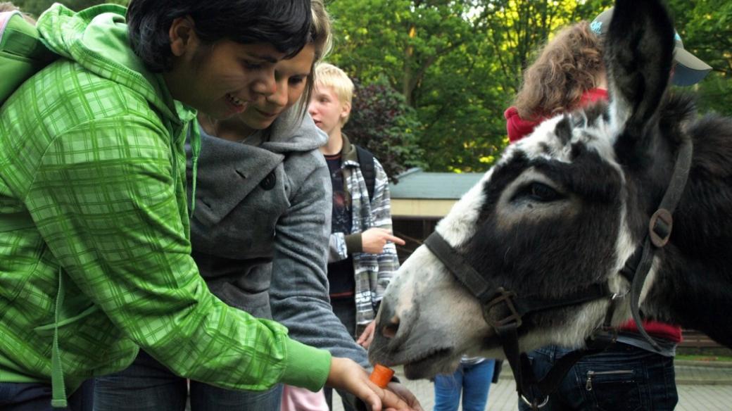 Loňská Noc snů v Zoo Děčín