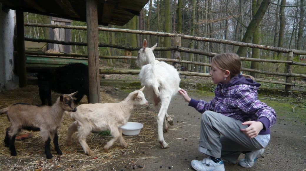 Zoologický kroužek v Zoo Děčín