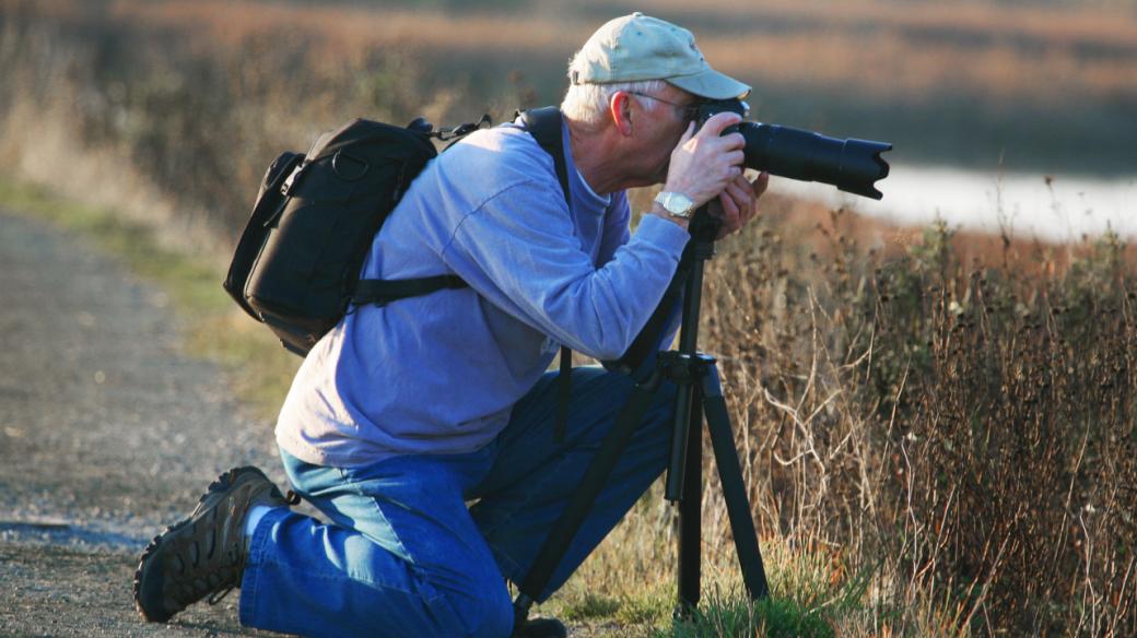 Fotografování ptactva - ilustrační foto