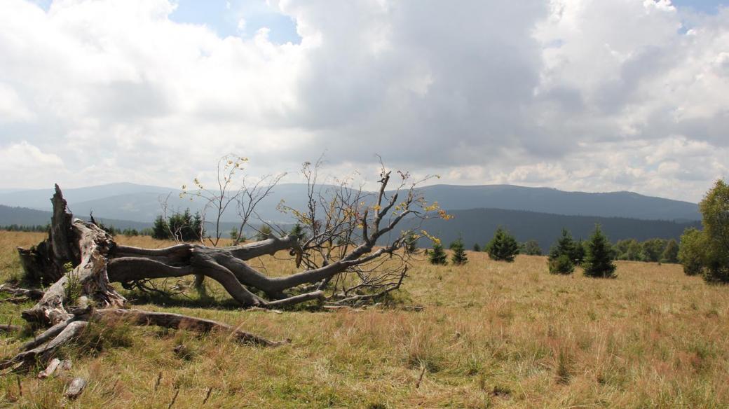 Fotografie z výpravy s průvodcem divočinou