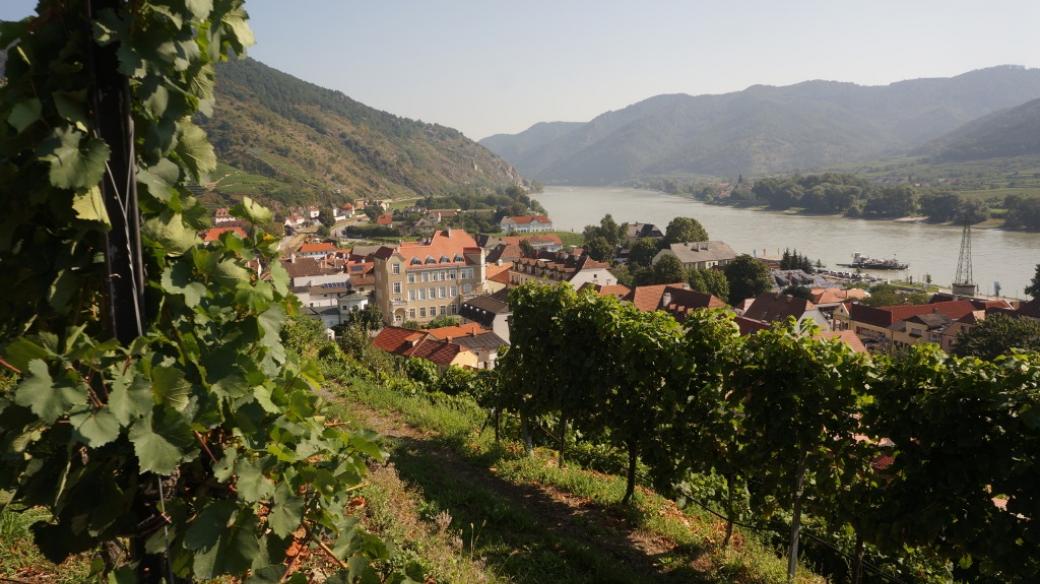 Vinařskou oblast Wachau v Rakousku si můžete prohlédnout se speciálně vyškolenými průvodci