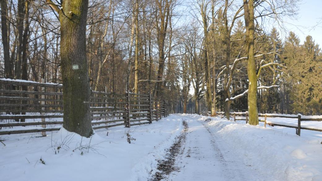 Obecní cesta Slavické obory je přístupná celoročně