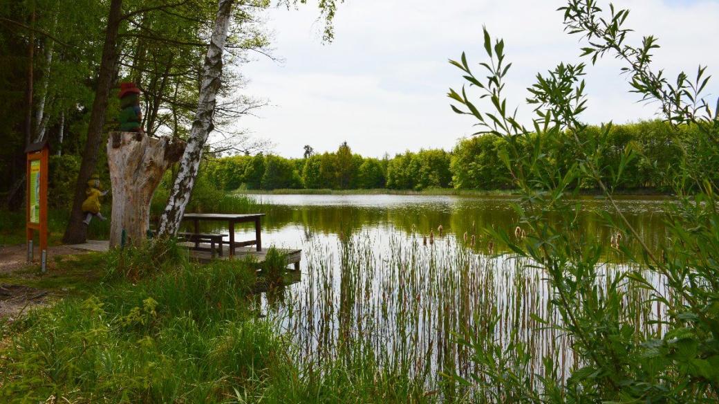 Městské lesy Hradec Králové - rybník