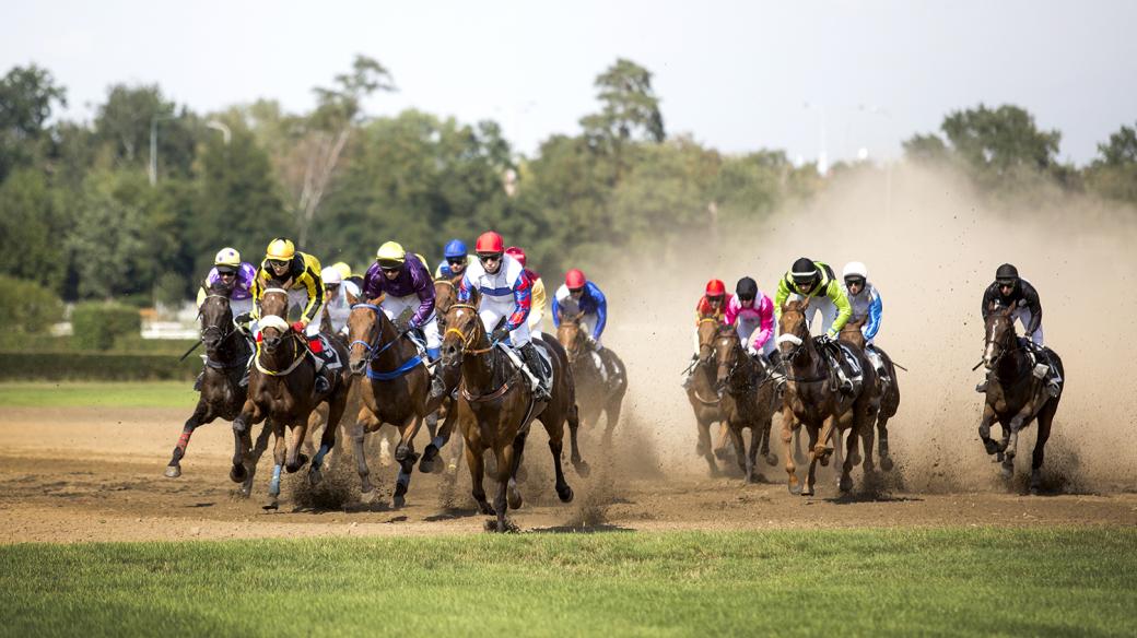 Kvalifikace na Velkou pardubickou