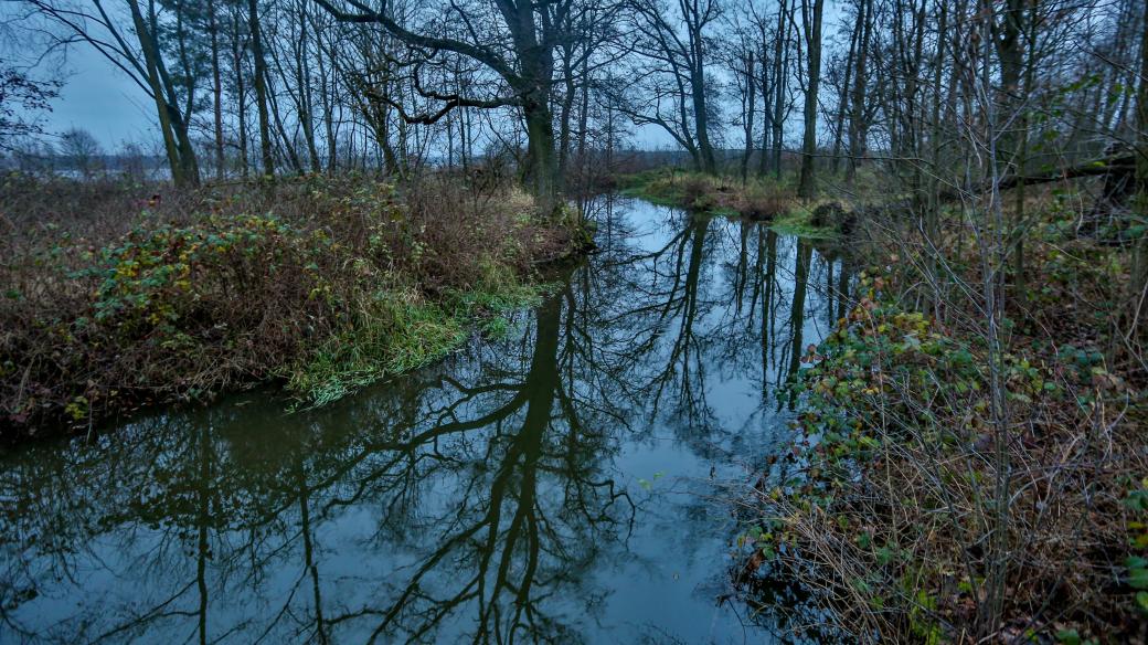 Zlatá stoka na Třeboňsku; vodní dílo, Štěpánek Netolický, povodí Lužnice, příroda