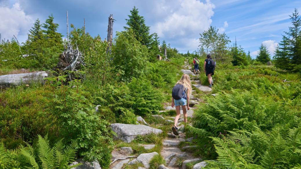 Turisté na cestě na Třístoličník