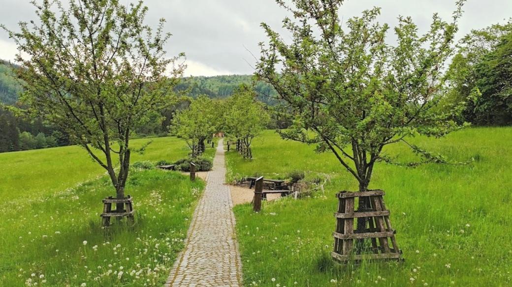 Cestu zdraví tvoří dlážděná cesta lemovaná ovocnými stromy