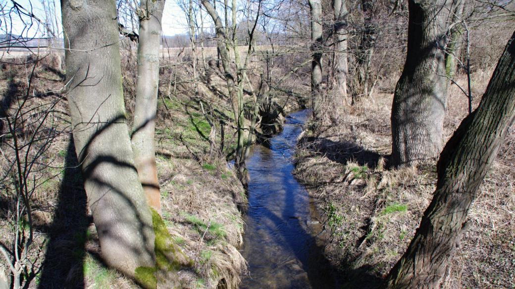 Strouha prochází po patě terénního zlomu na hraně nivy Moravy