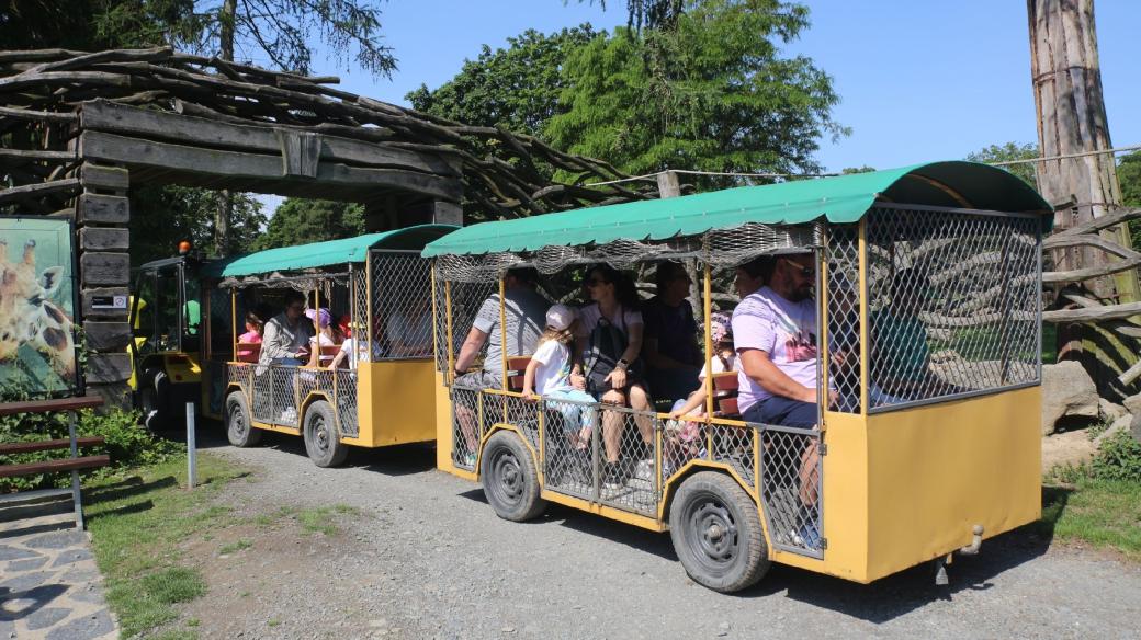 V období od května do srpna vyjíždí safari vláček za příznivého počasí každý den mezi 9 a 17 hodinou