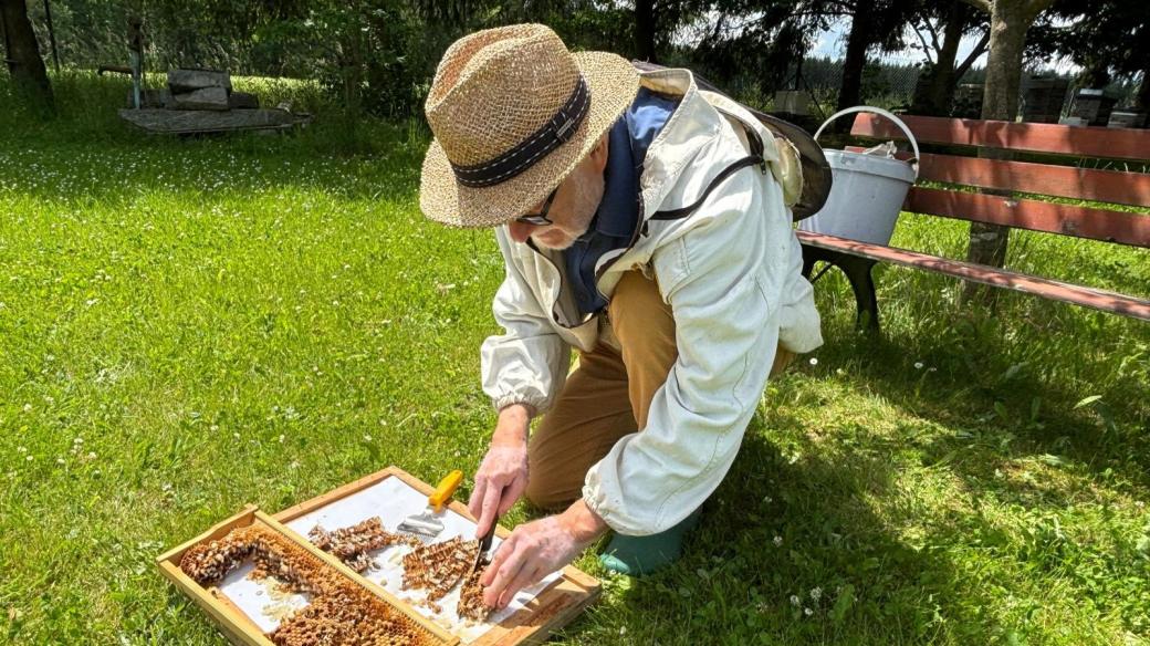 Včelař Petr Texl kontroluje včelstvo