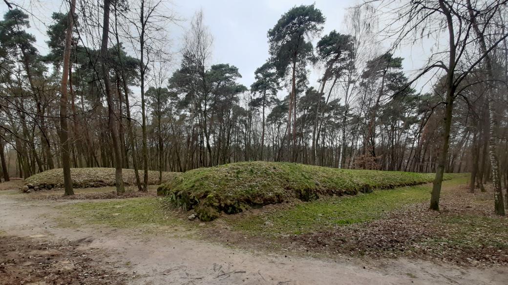 Dlouhé mohyly na polské lokalitě Wietrzychowice