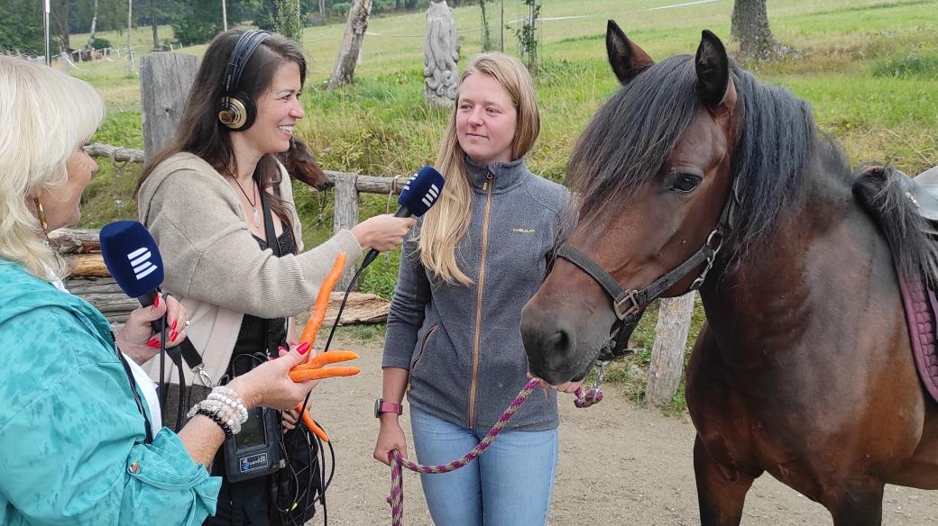 Rozhlasový přímý přenos z farmy Hucul Janova Hora