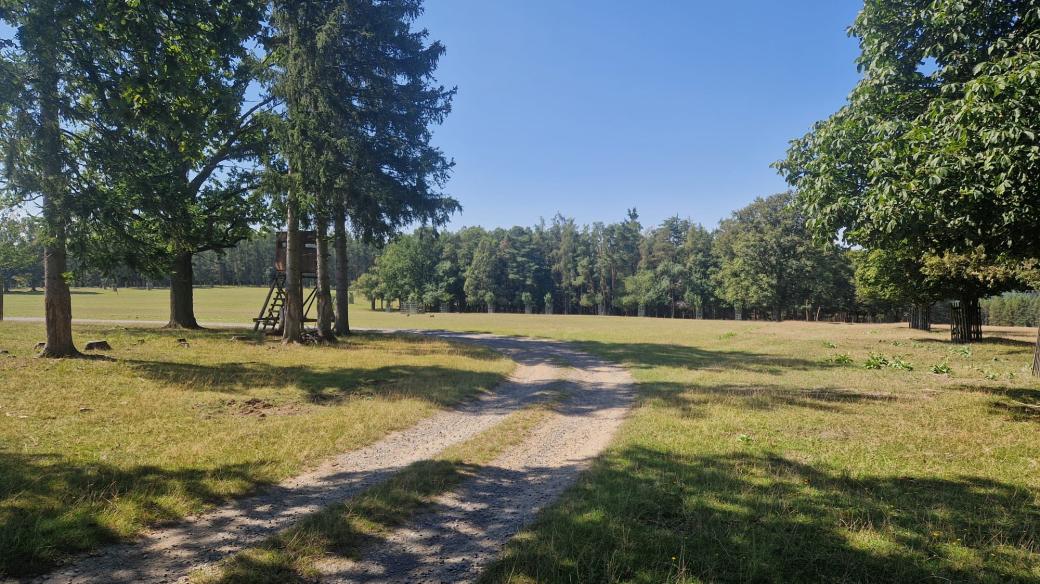 Lánská obora bude přístupná veřejnosti