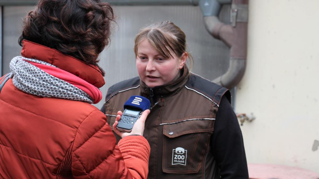 Zooložka Zoo Hluboká Markéta Jariabková