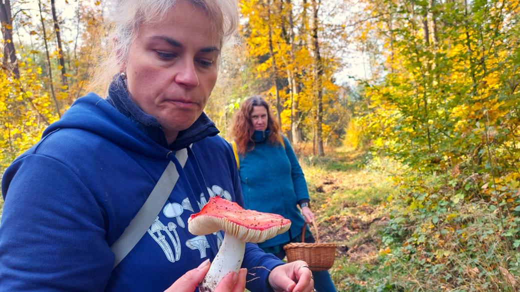 Jana Čapková a holubinka jahodová