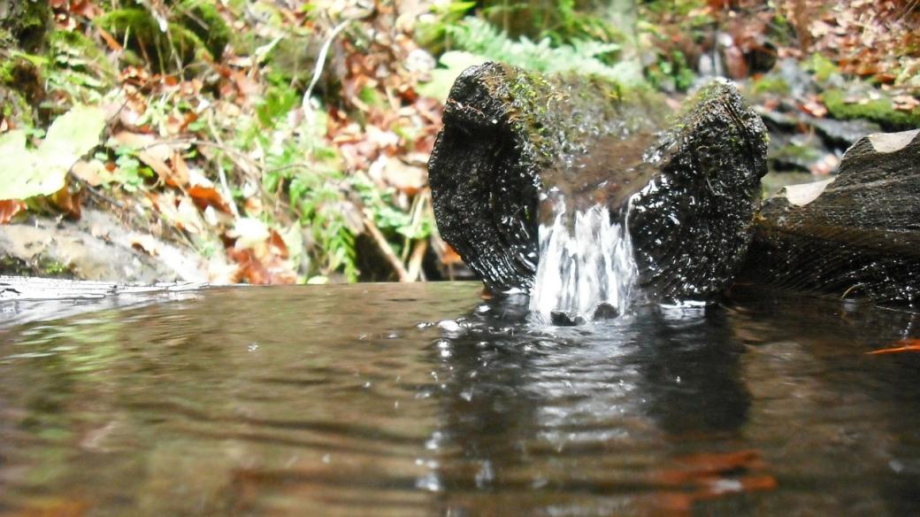 Studánka