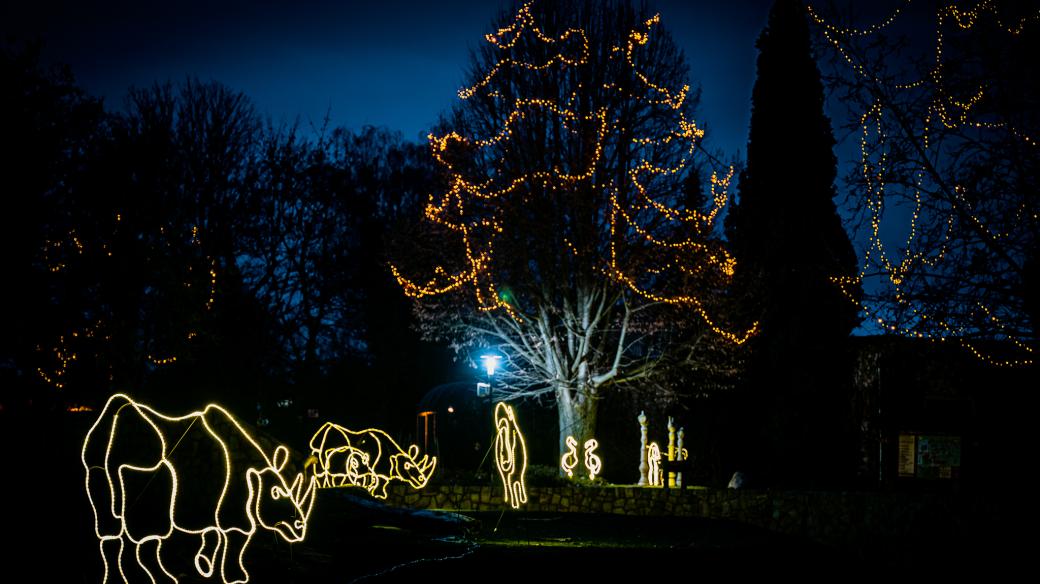 Safari Park Dvůr Králové v zimě