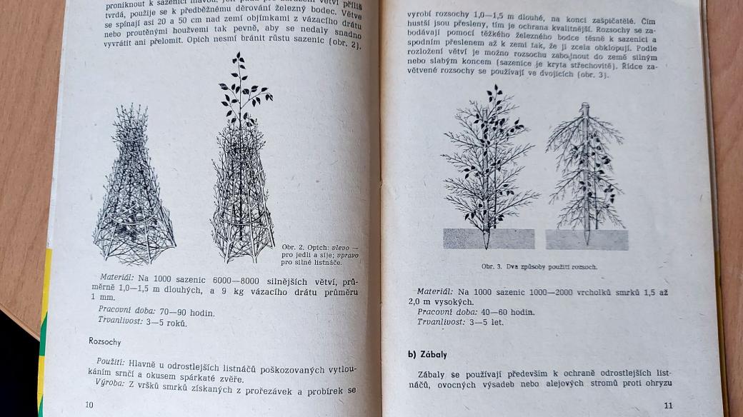 Opich a rozsoch jako ochrana stromků v příručce z roku 1966