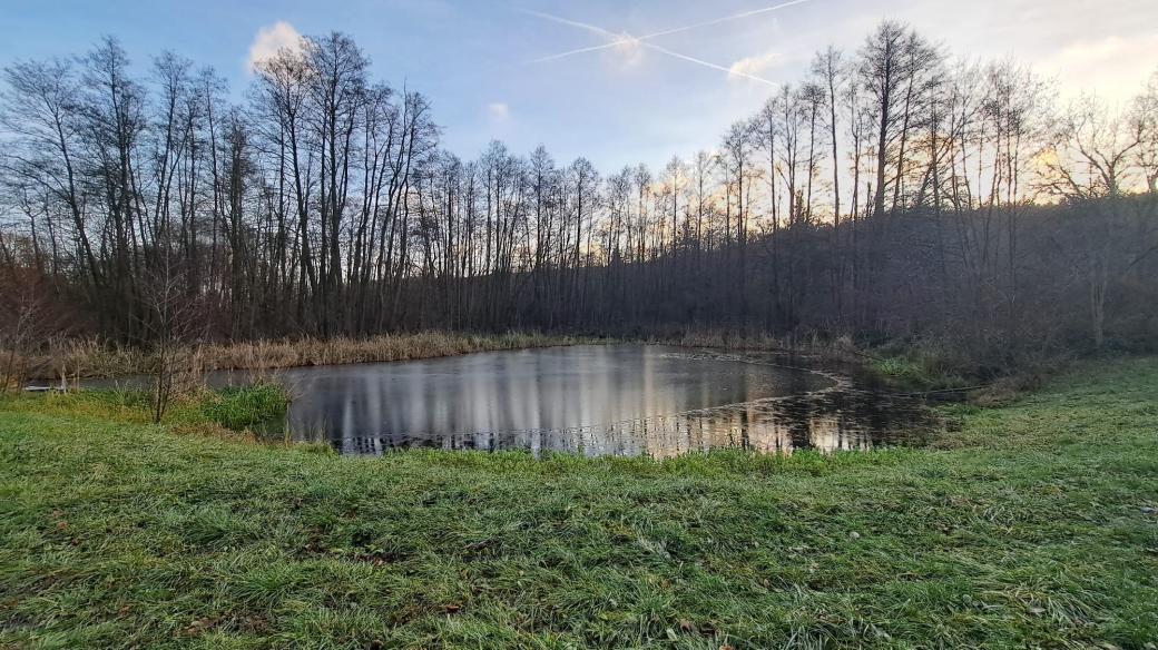 Jedna z již hotových tůní ve Stínavě na Prostějovsku