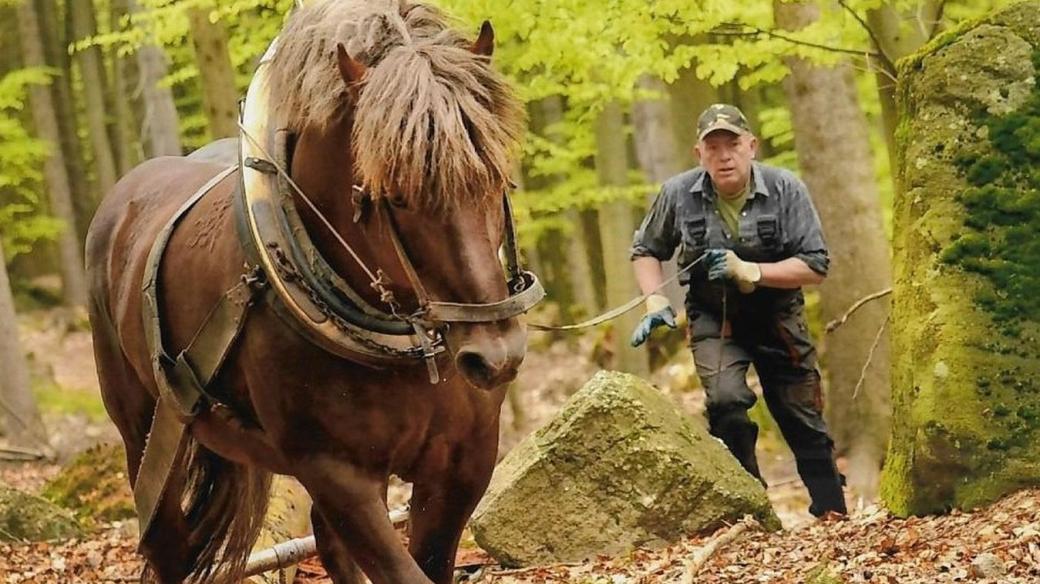 Miloslav Nehyba, lesní kočí a autor knih o Velké pardubické