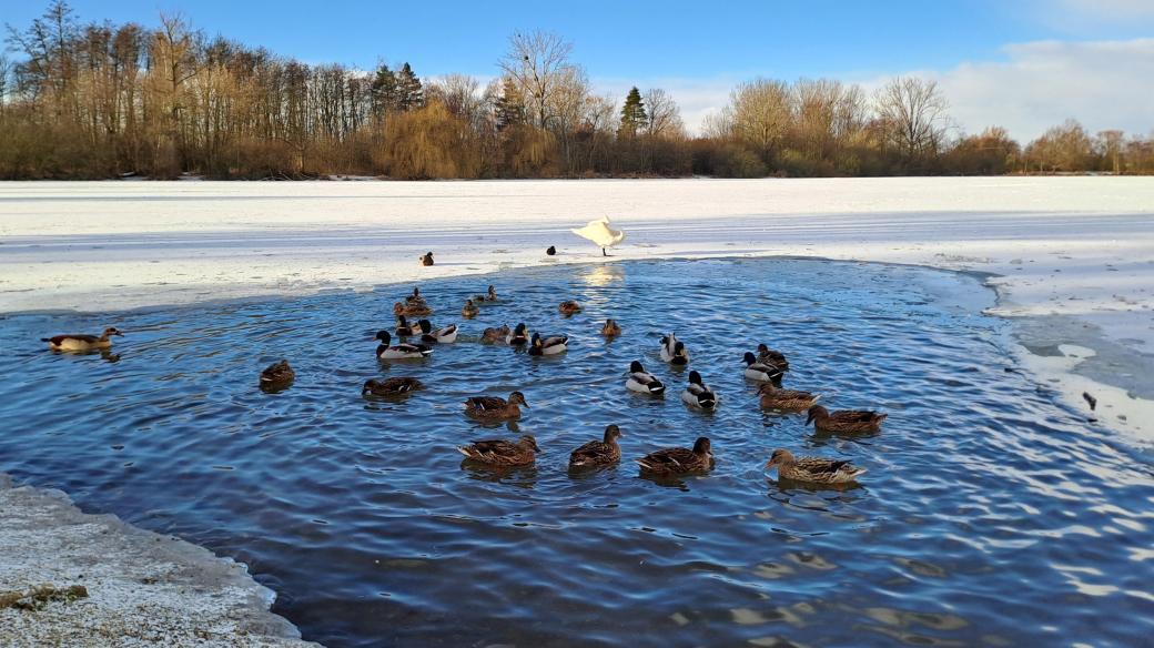 Poděbrady u Olomouce mají v zimě neopakovatelnou atmosféru