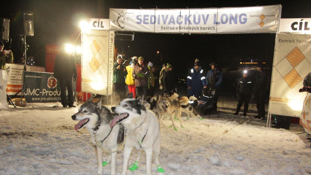 Mezinárodní závod psích spřežení Šediváčkův long v Orlických horách