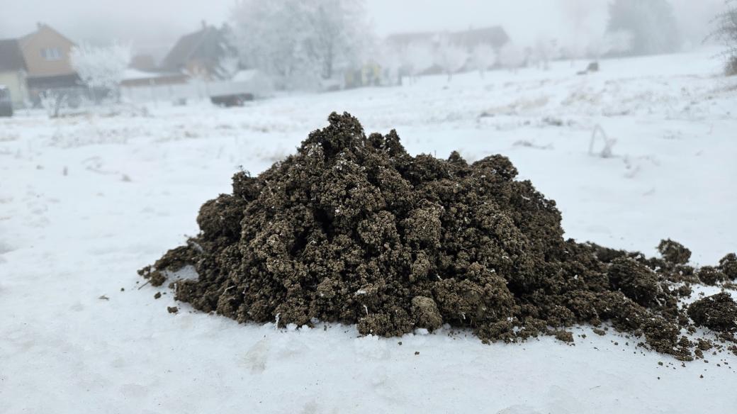 Následky zimního řádění krtků ve Velké Lhotě u Telče