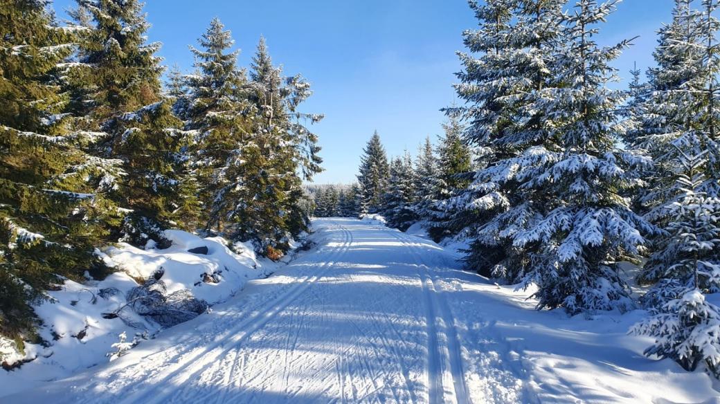 Cesta na Brádlerku. Častěji než na běžkaře narazíte v posledních letech v Krkonoších na skialpinisty