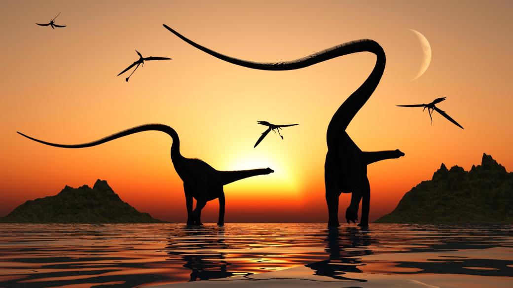 Diplodocus, sauropodní dinosaurus