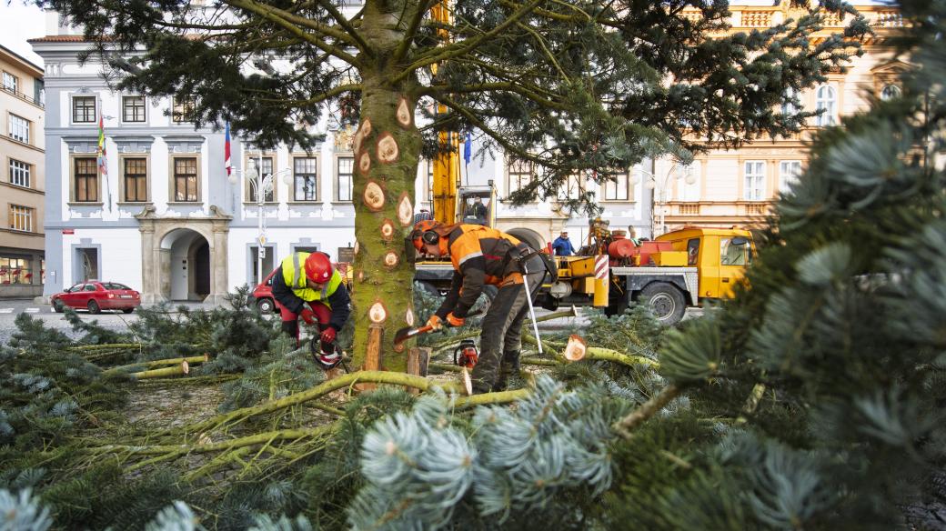 Kácení vánočního stromu na náměstí Přemysla Otakara II. v Českých Budějovicích