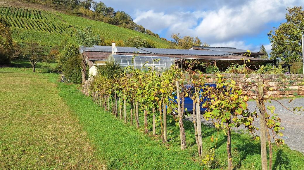 Rodinné vinařství Zaiß v německém Schützingenu