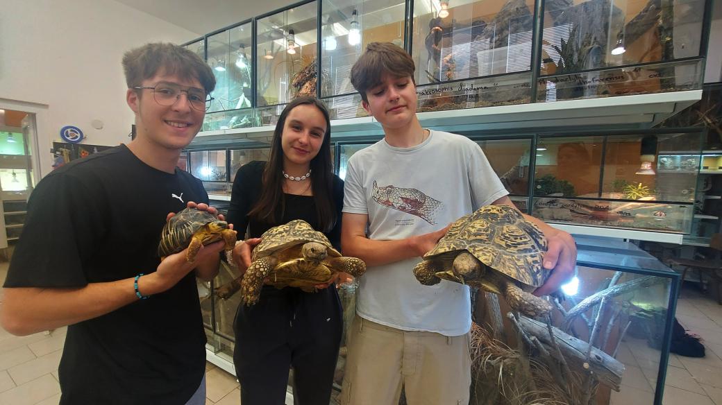 Studenti oboru Chovatel cizokrajných zvířat Střední zahradnické a technické školy v Litomyšli u terárií pralesních druhů živočichů