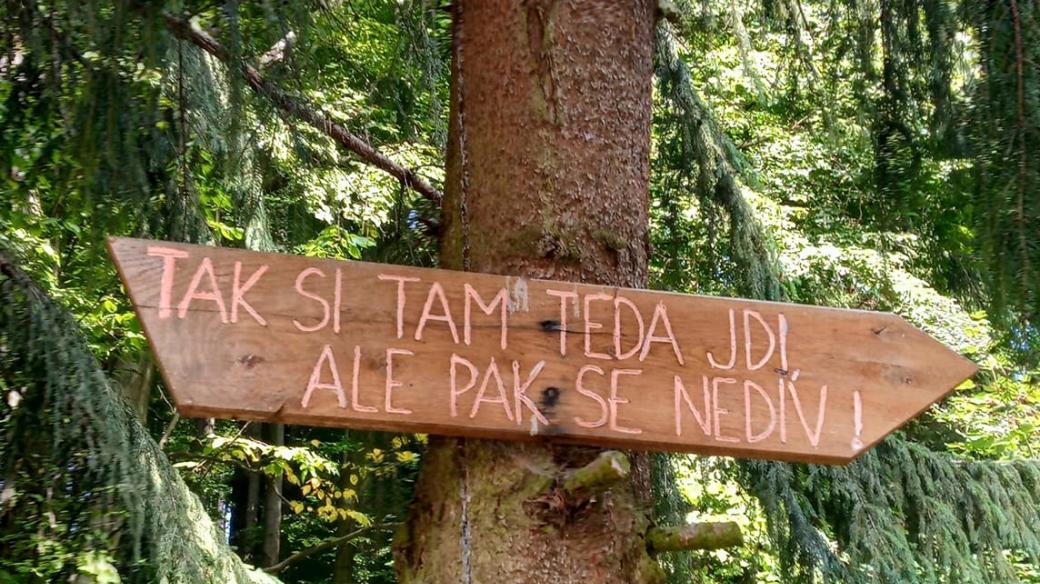 Odbočka od chaty Megovka směrem na Velkou Javořinu