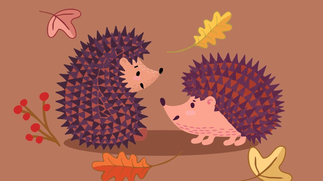 Tihle dva ježci se rozhodně nenudí