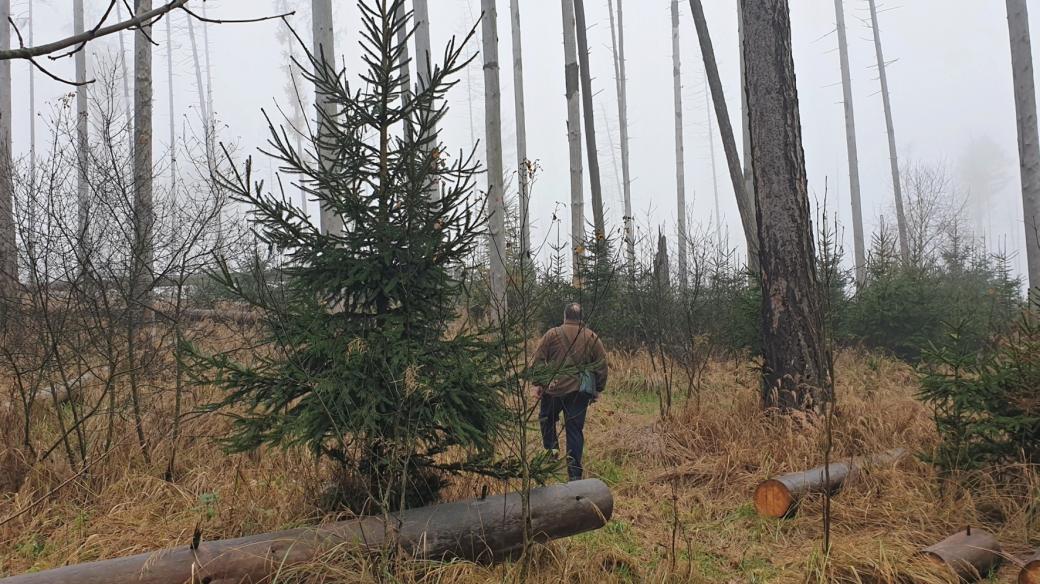 Jiří Nohel v lese v okolí Velké Bíteše