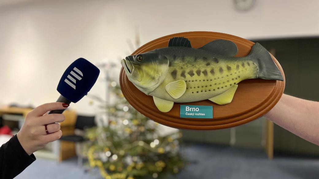 Lze udělat rozhovor s vánočním kaprem? Nebo ho dokonce rozezpívat?