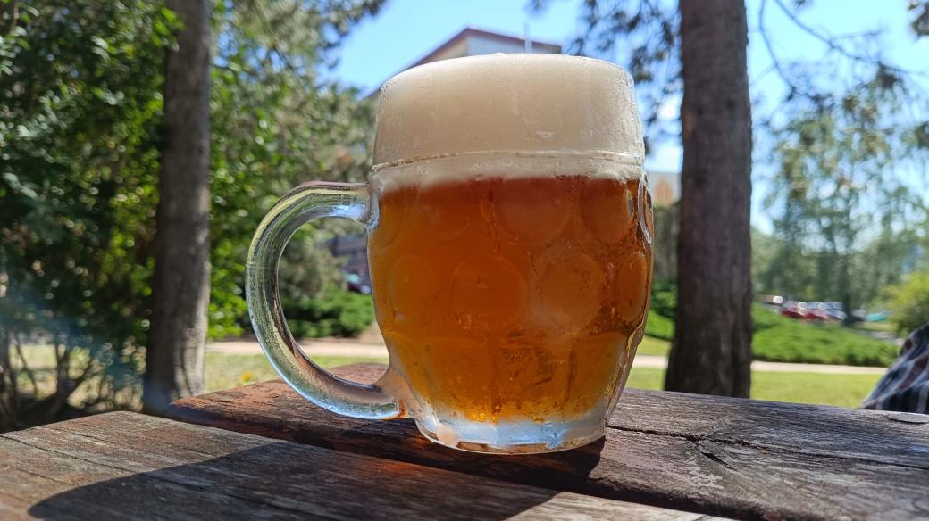Pivo