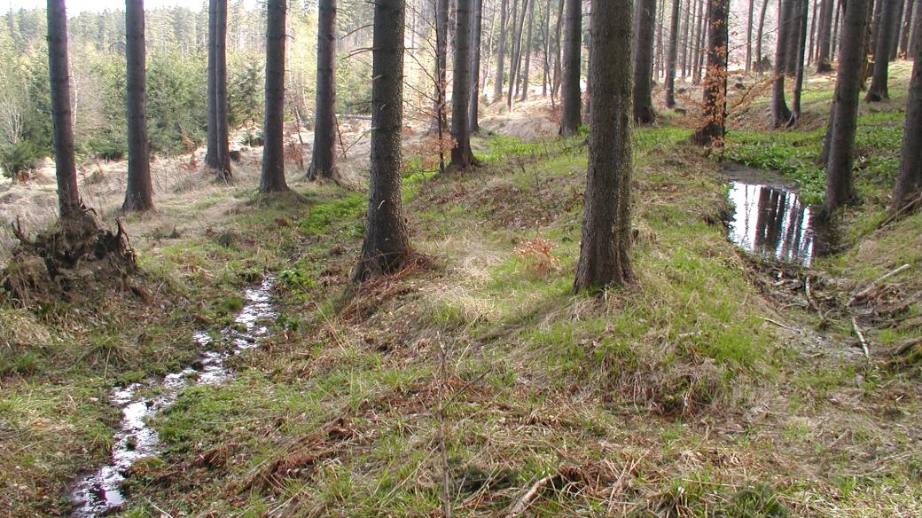 Řeka Osoblaha kousek pod pramenem nad Petrovicemi