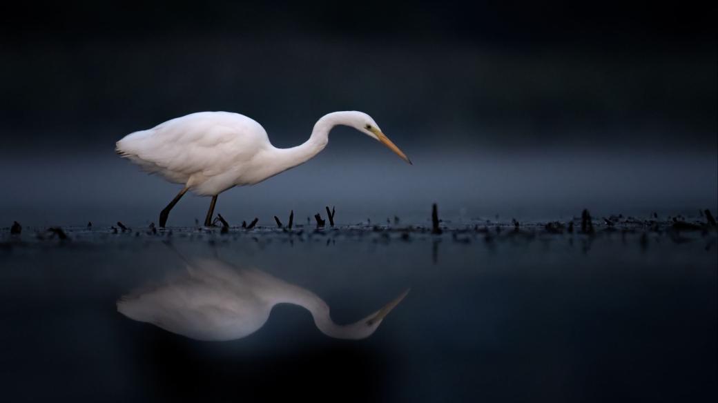 Každá má fotografie je dotek okamžiku... V každé z nich je kousek mne