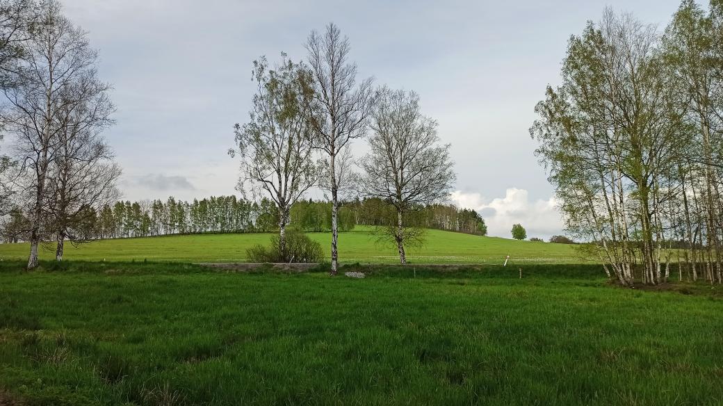 Pohled na Volákův kopec od Slavíčkovy chalupy