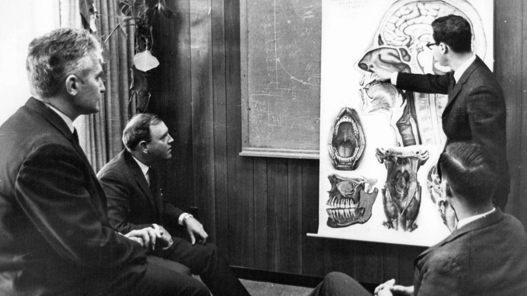 Neurobiologie (ilustrační foto)