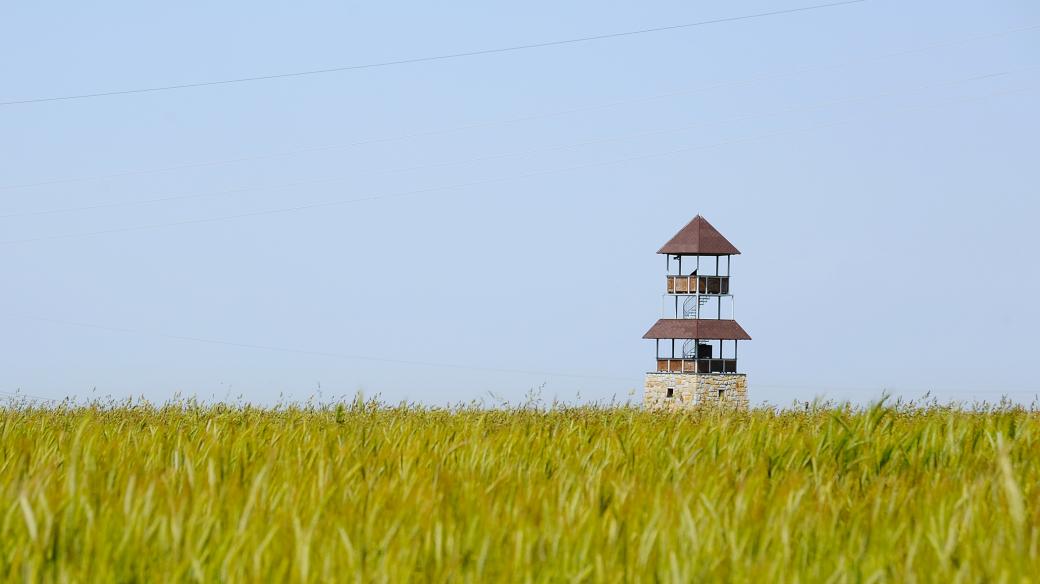 Vojtěchovská rozhledna stojí uprostřed pole nad obcí. Když je dobrý výhled, je z ní vidět i Ještěd