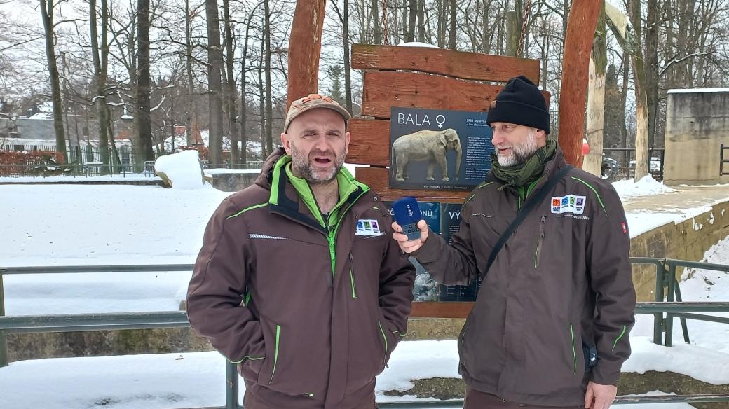 Hlavní liberecký zoolog Luboš Melichar s ředitelem Zoo Liberec Davidem Nejedlem, který je i jedním z moderátorů pořadu Setkání u mikrofonu