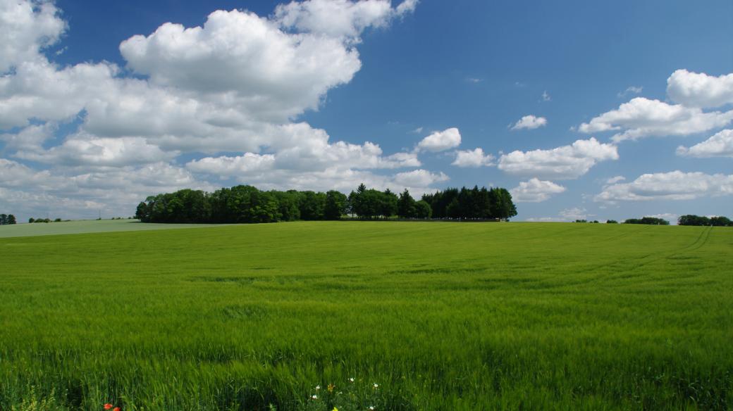 Vrchol kopce Stráž moc vrchol nepřipomíná