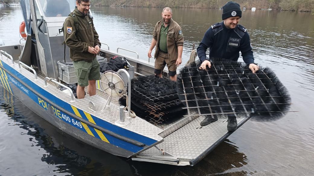 Rybáři na Slapech umísťují speciální líhně pro candáty