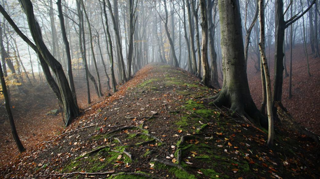 Jeden z trojice valů opevnění oppida České Lhotice 