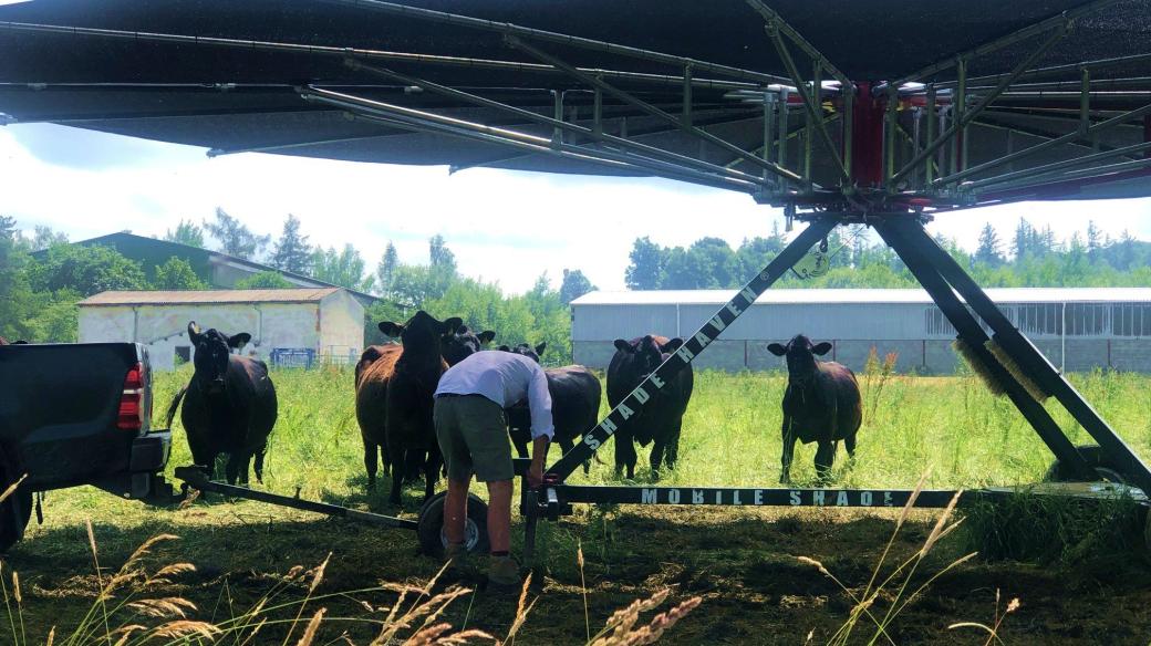 Unikátní mobilní systém zastínění na farmě Wenzela Lobkowicze