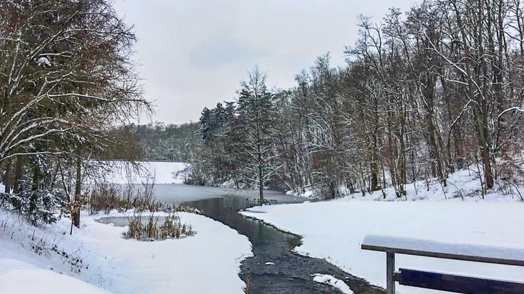 Modřanská rokle je dnes přírodní památkou