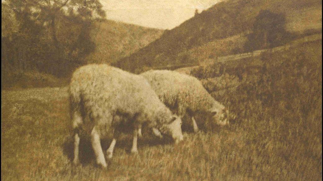 Jedna z dochovaných fotografií, kterou pořídil propagátor fotografie Hans Watzek